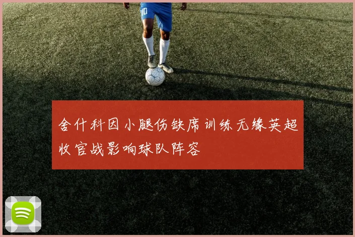 舍什科因小腿伤缺席训练无缘英超收官战影响球队阵容